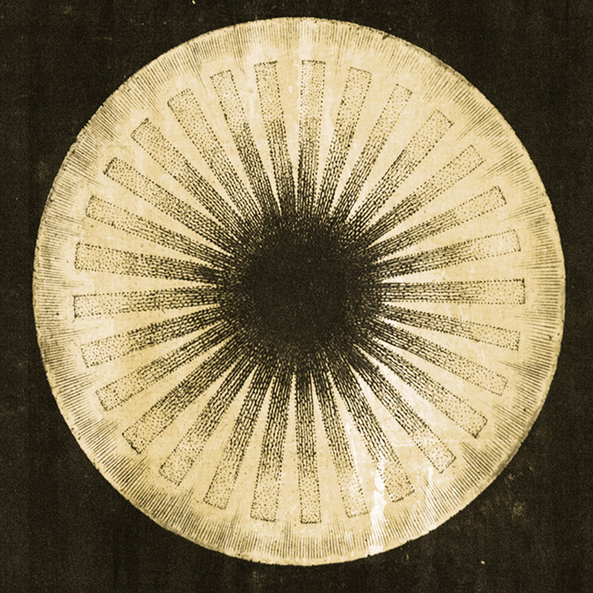 Pharaoh - I Murderer, I 7"